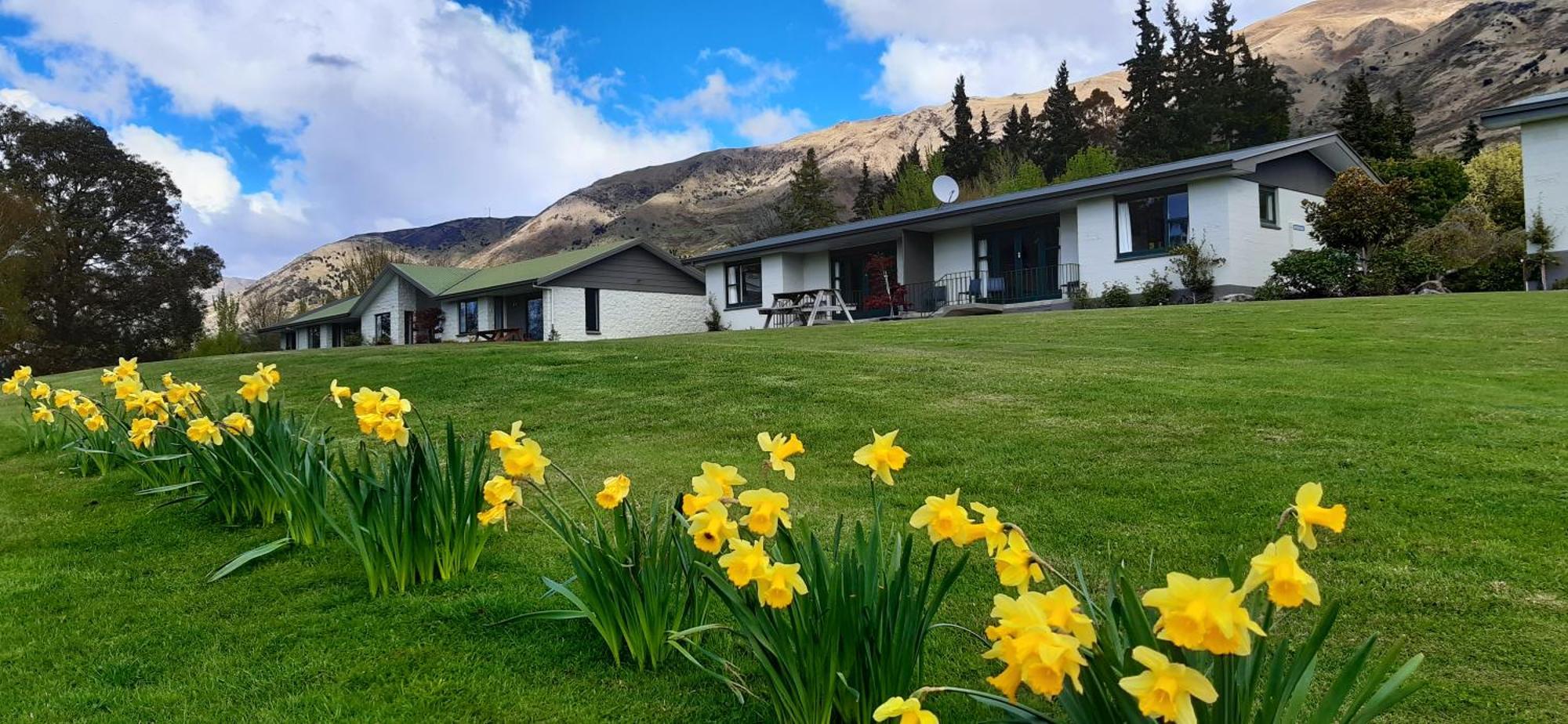 Wanaka Top 10 Holiday Park المظهر الخارجي الصورة